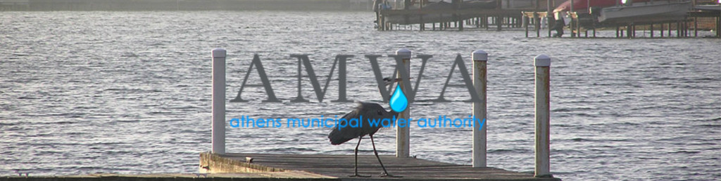 AMWA Website