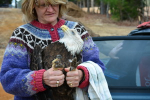 Veterinarian unloading the Eagle