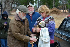 John Karger removing the tape from the tail as Dr. Melissa Hill holds the Eagle.