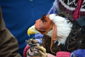 Close-up of the Eagle's Talons